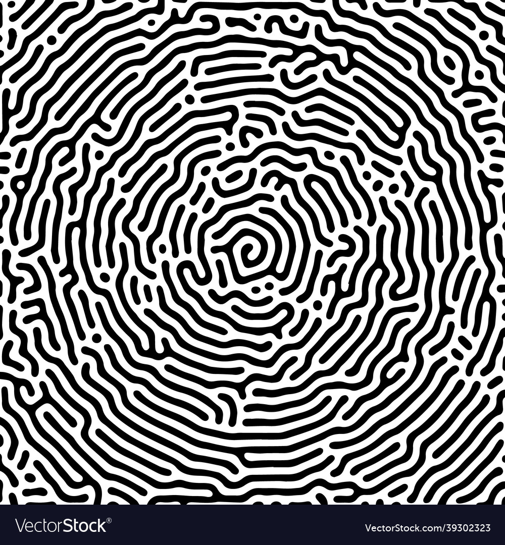 Black and white organic rounded lines pattern vector image Black and white organic rounded lines pattern
