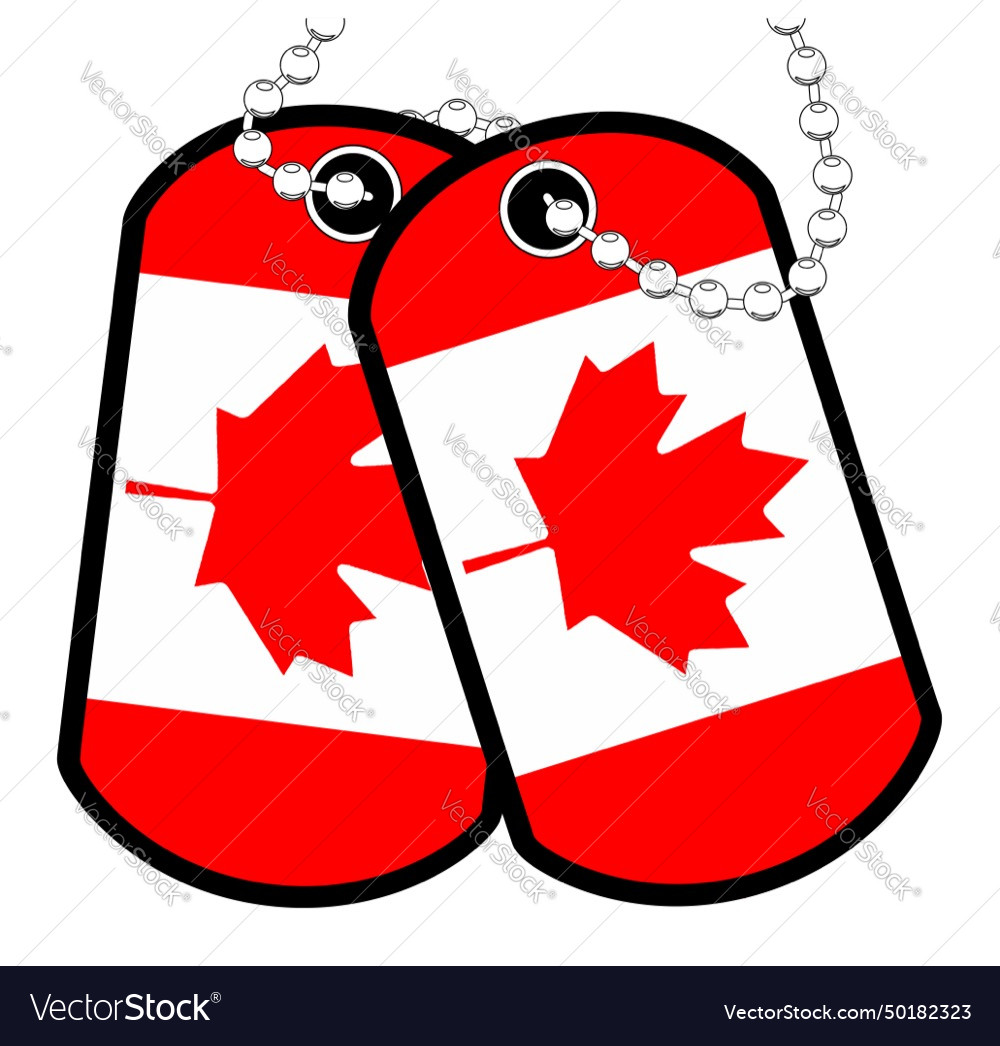 Canadian military pair of dog tags Royalty Free Vector Image