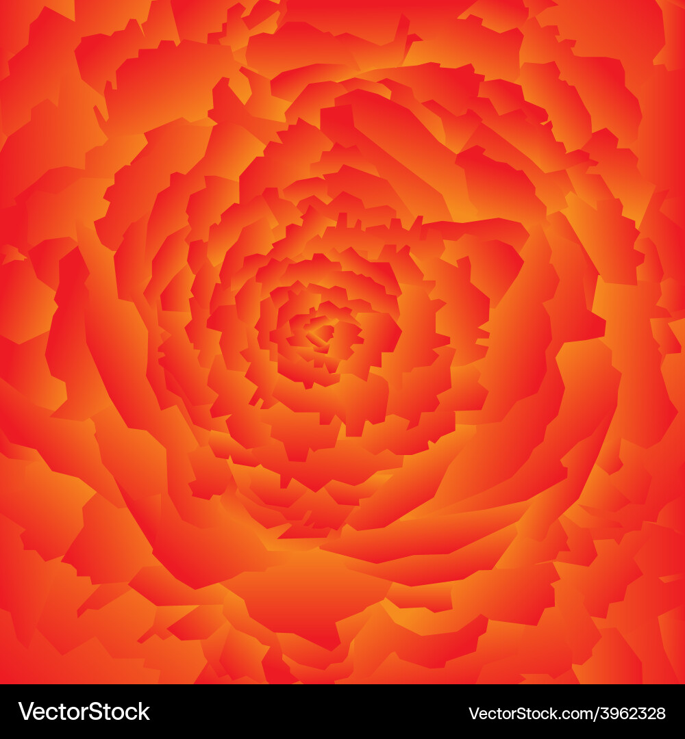 Abstract rose background Royalty Free Vector Image