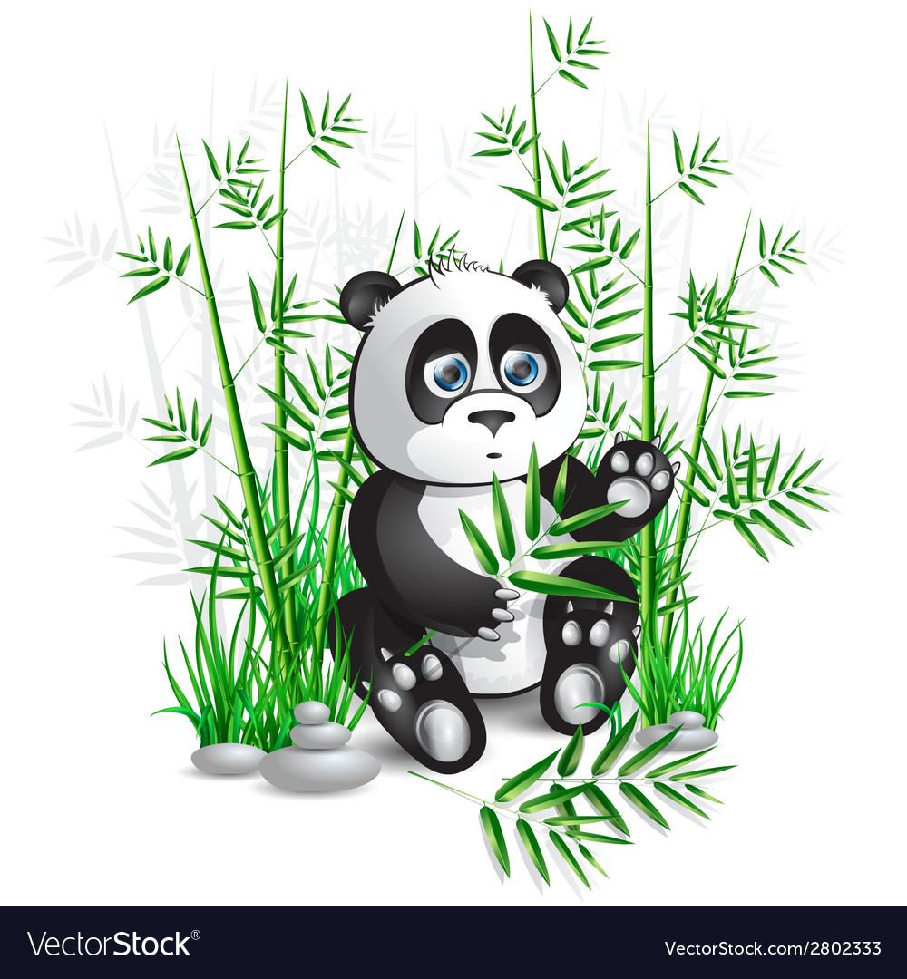 Panda bamboo