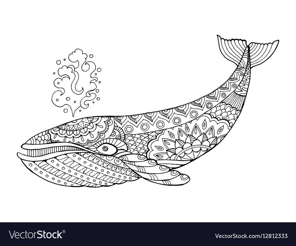 Whale Coloring page  Whale coloring pages, Whale tattoos, Whale drawing