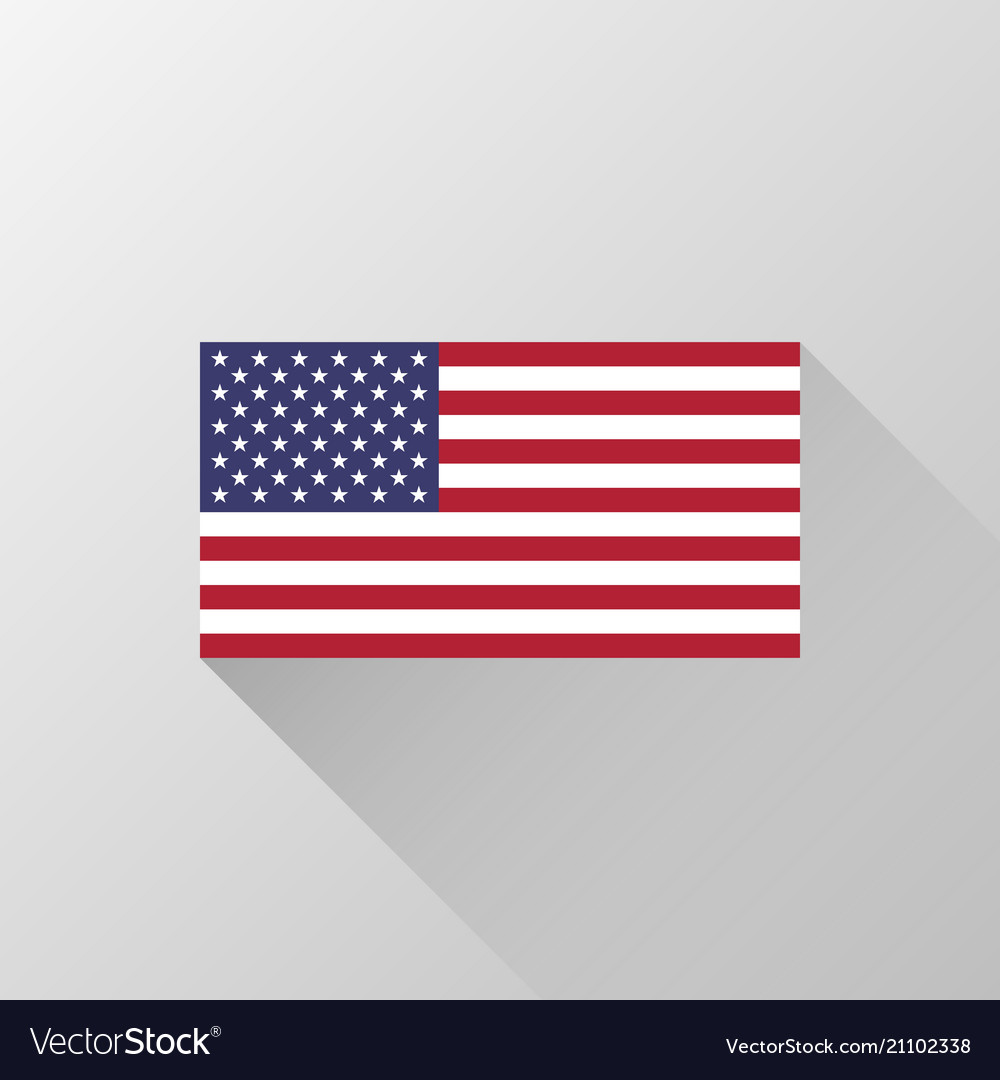 Usa official national flag vector image Usa official national flag