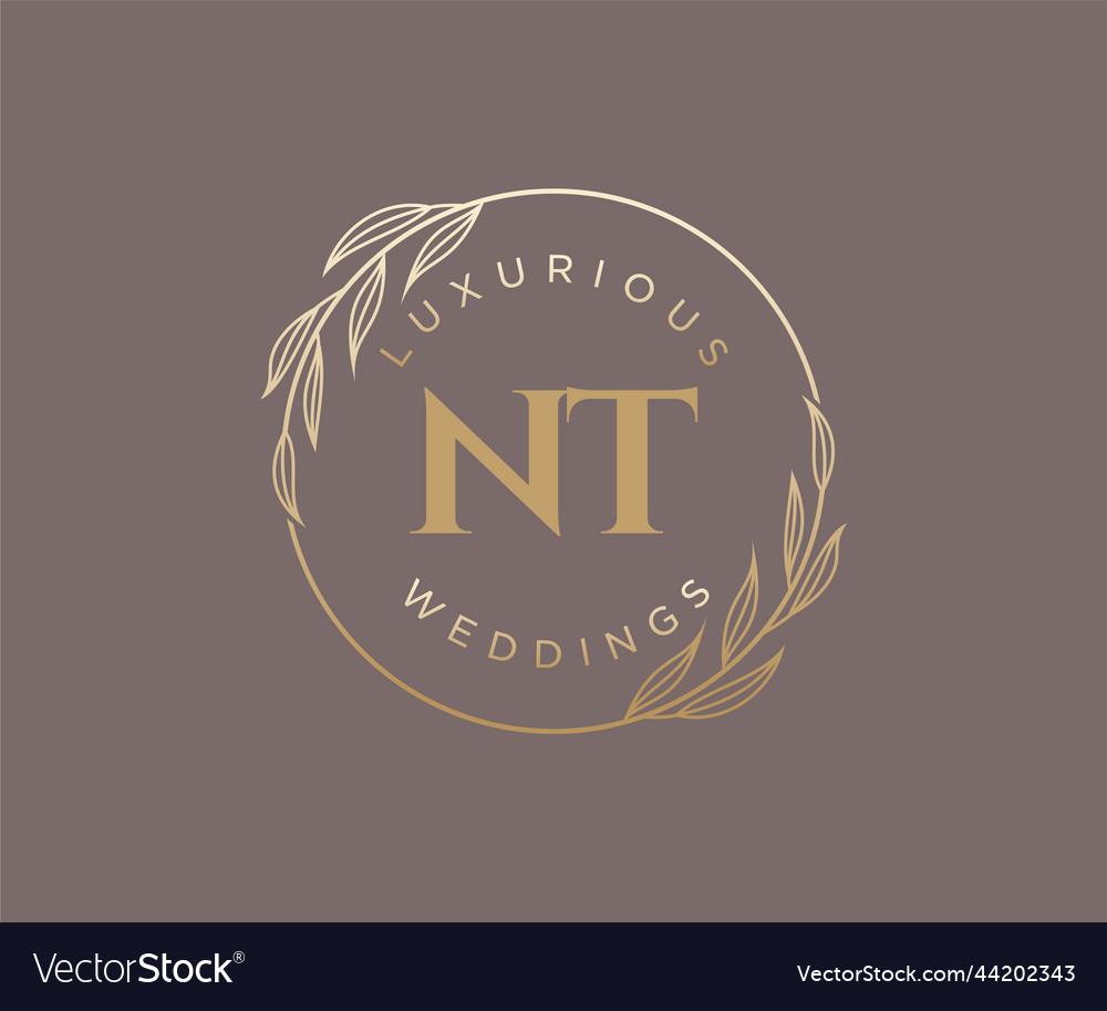 Nt initials letter wedding monogram logos Vector Image