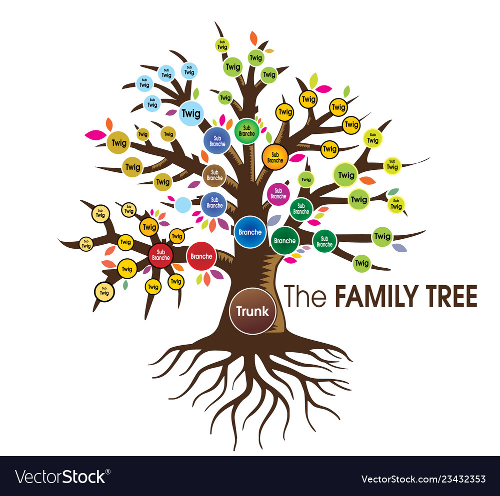 Download Family tree human tree Royalty Free Vector Image