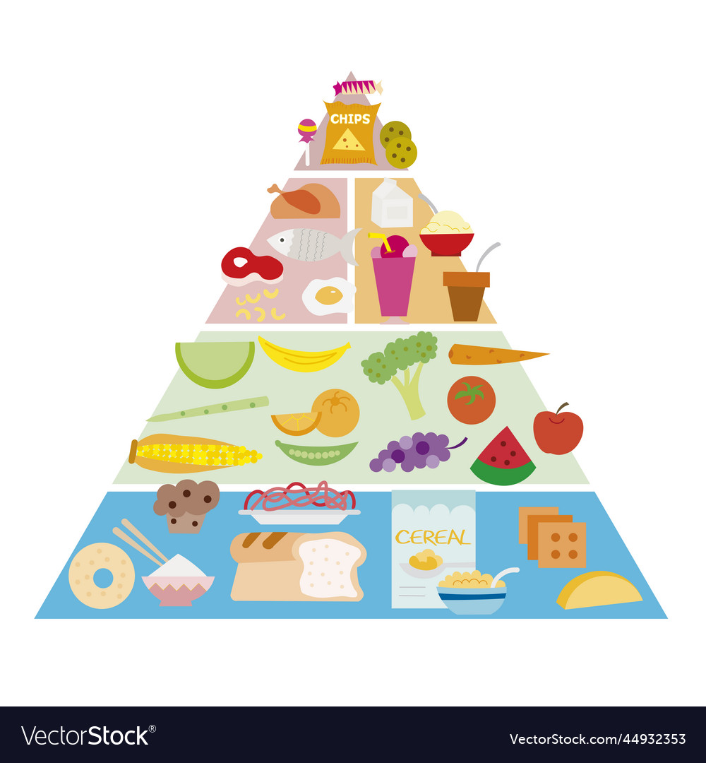 Food Pyramid With Flat Drawings Royalty Free Vector Image