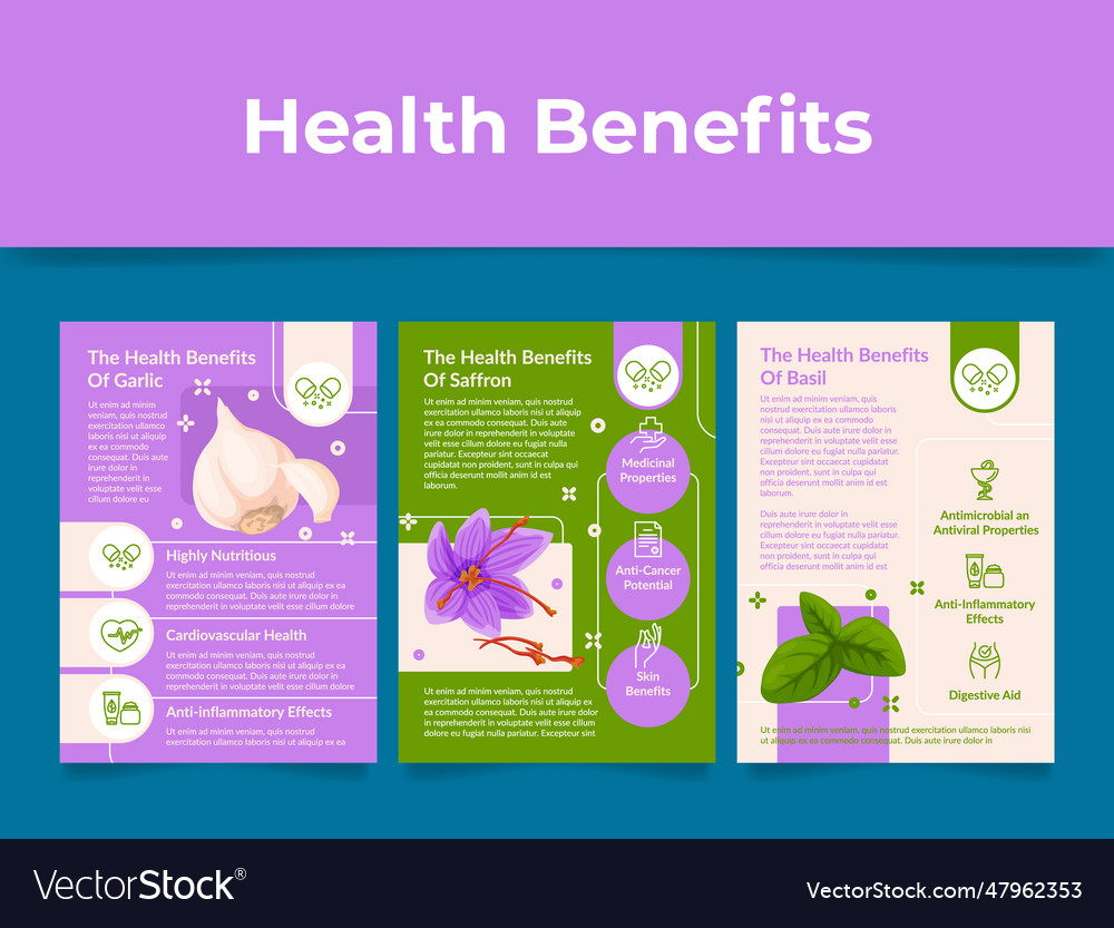 Health benefits garlic saffron basil scheme Vector Image