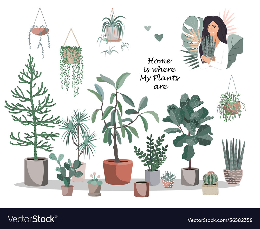 Home is where my plants are poster cute house Vector Image