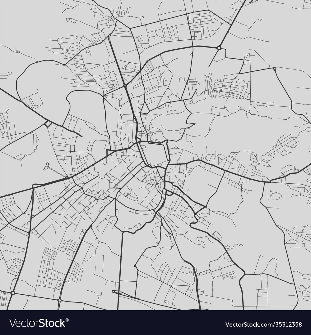 Urban city map lviv poster grayscale street Vector Image