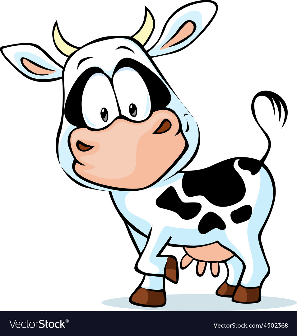 Black and white young cow Royalty Free Vector Image