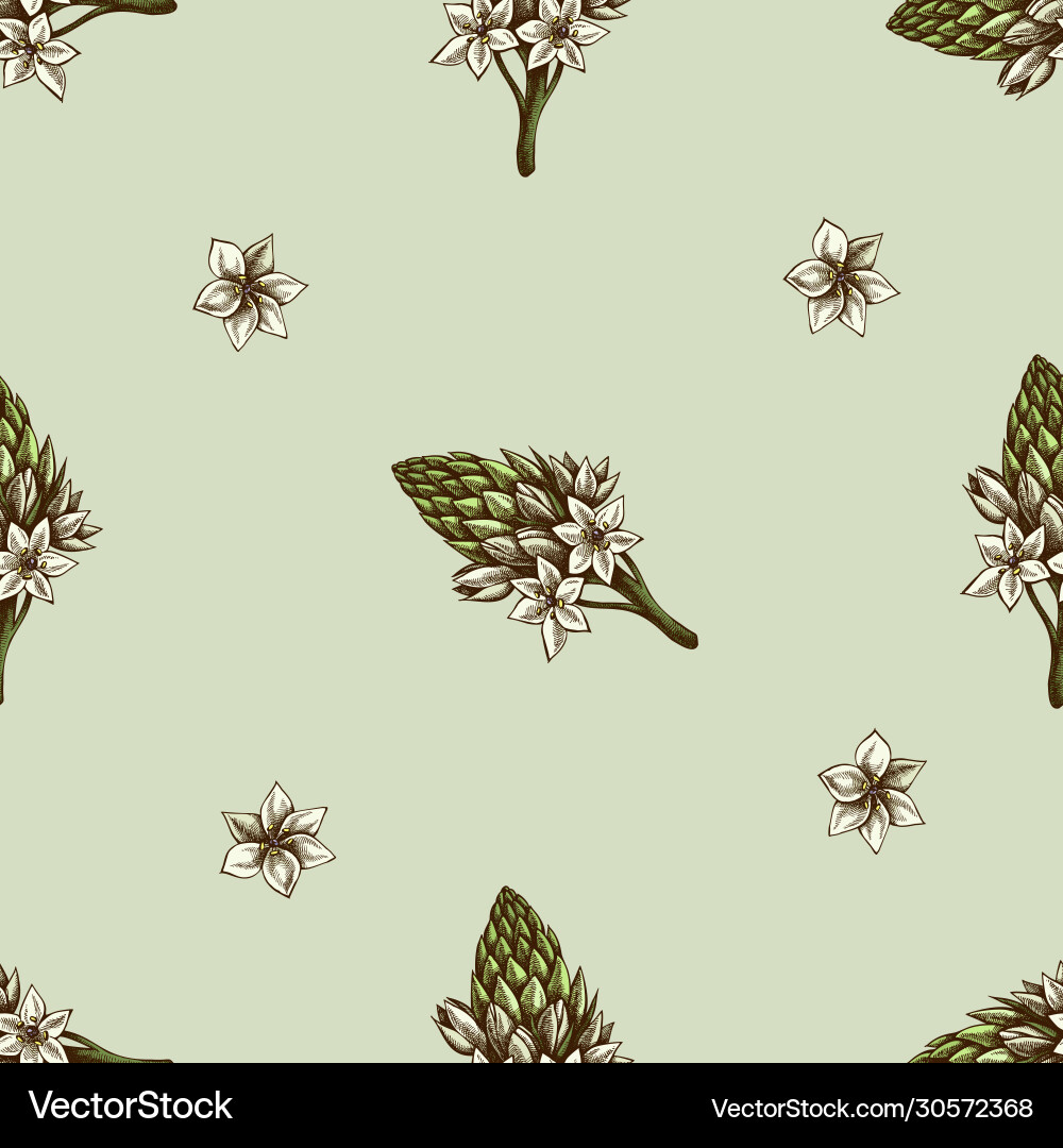 Seamless pattern with hand drawn colored Vector Image