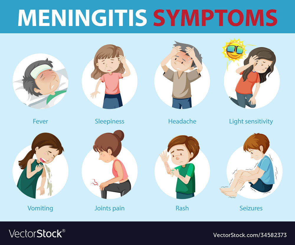 Meningitis Symptoms Cartoon Style Infographic Vector Image