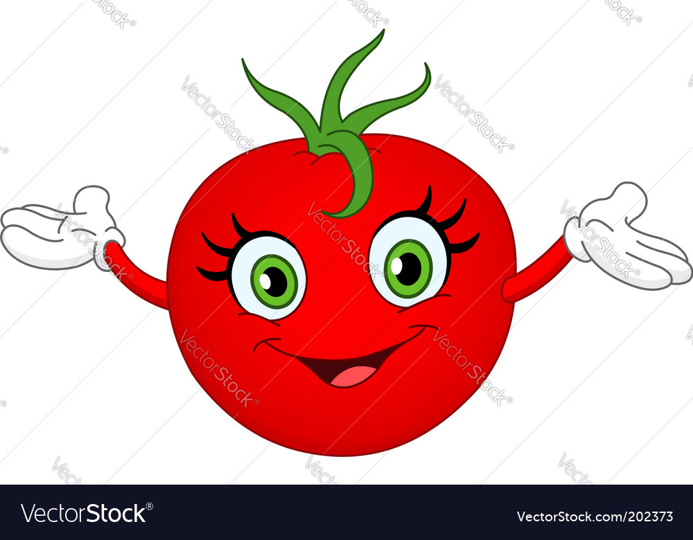 Tomato Royalty Free Vector Image - VectorStock Tomato Royalty Free Vector Image - VectorStock