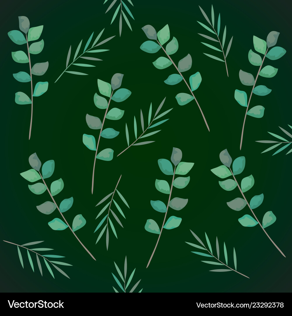 Branch with leafs pattern Royalty Free Vector Image