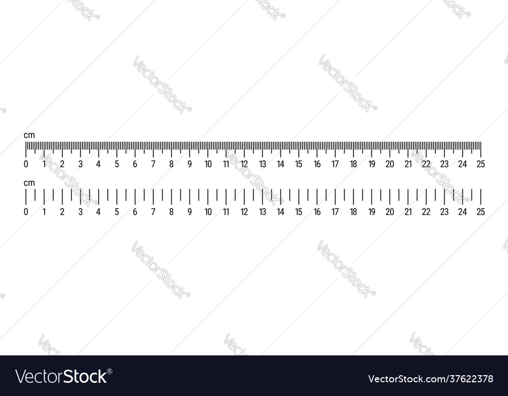metric-ruler-scale-25-centimeter-scale-flat-vector-image