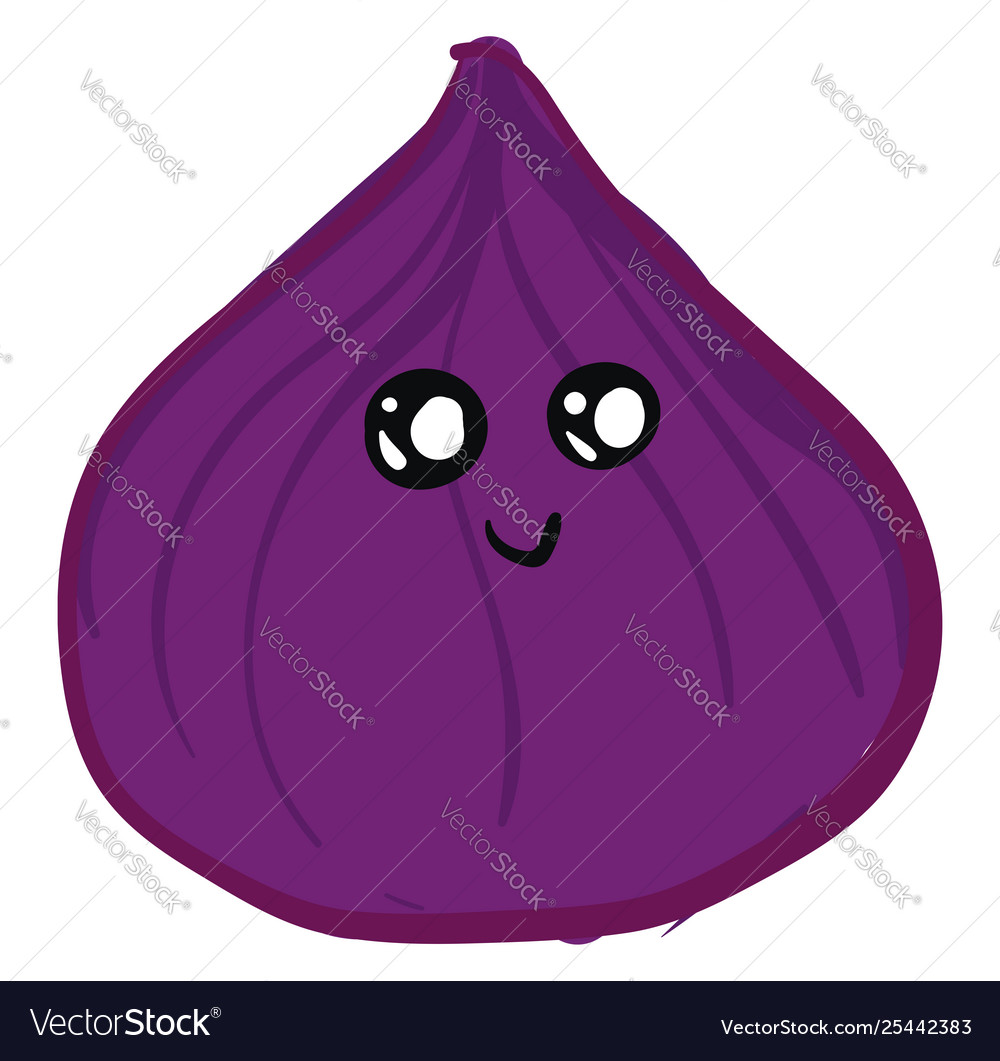 A purple onion or color Royalty Free Vector Image