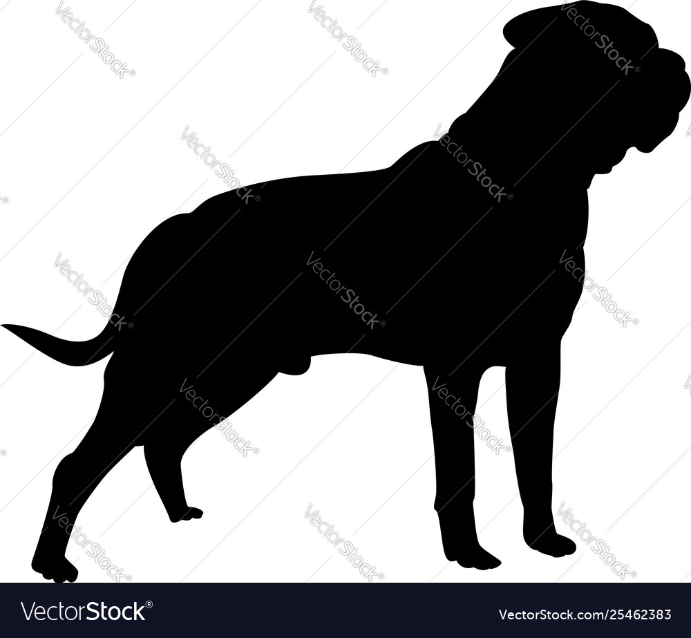 Bullmastiff dog silhouette Royalty Free Vector Image