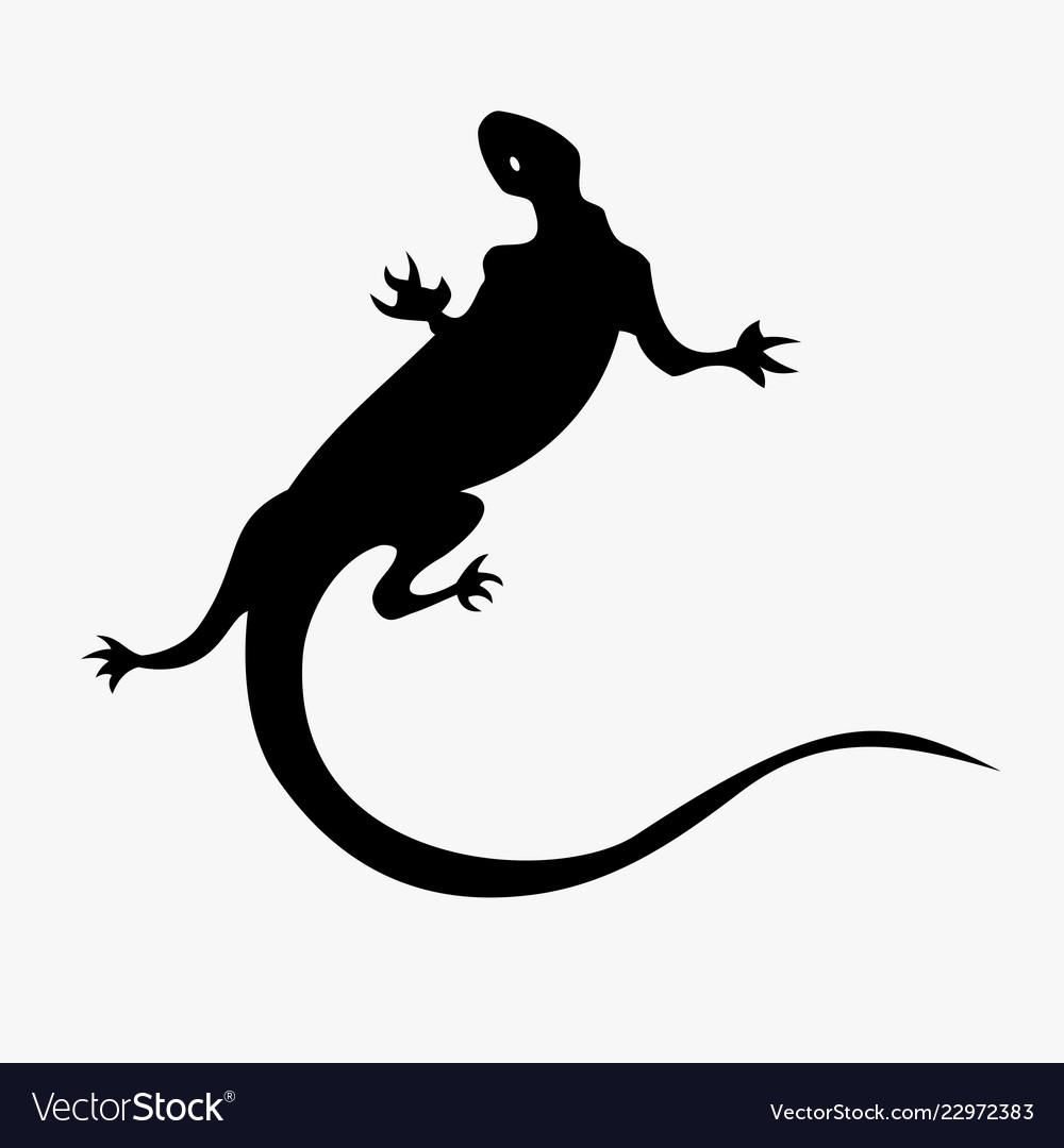 Lizard tattoo Royalty Free Vector Image - VectorStock