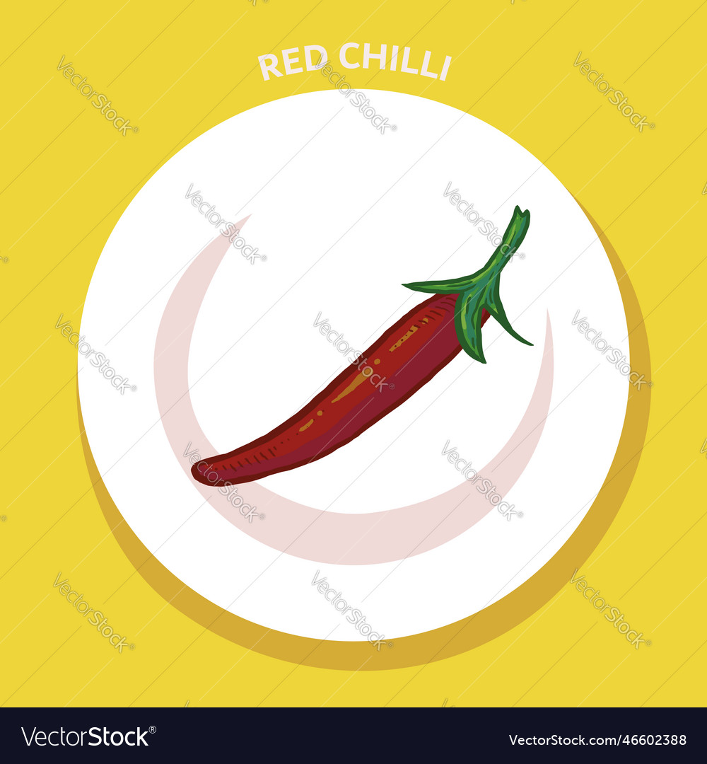 Red chilli Royalty Free Vector Image VectorStock