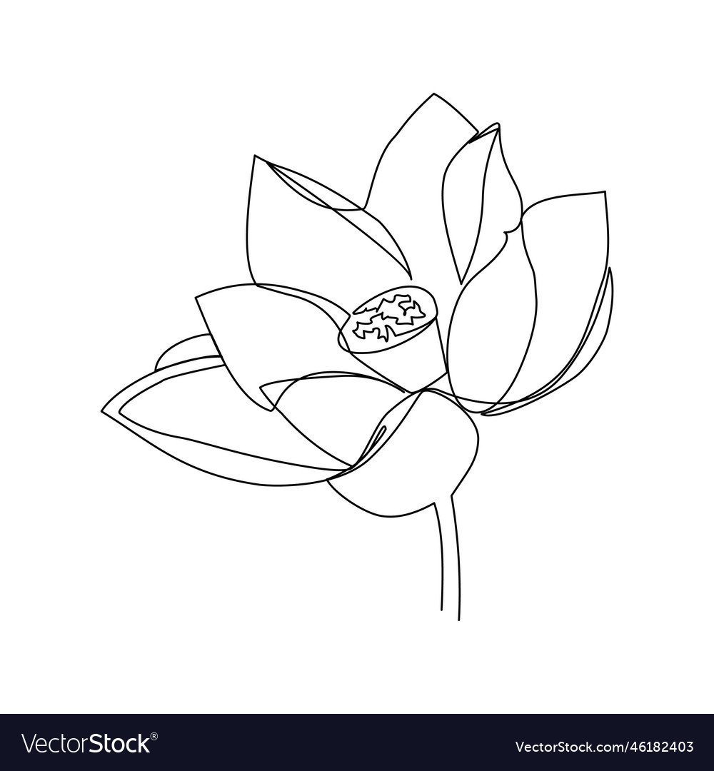 Lotus Royalty Free Vector Image - VectorStock