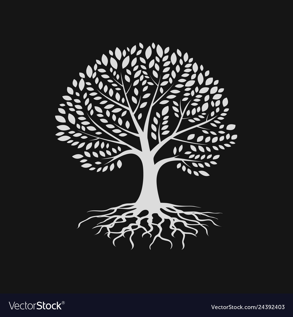 Download Tree silhouette with root logo design template Vector Image