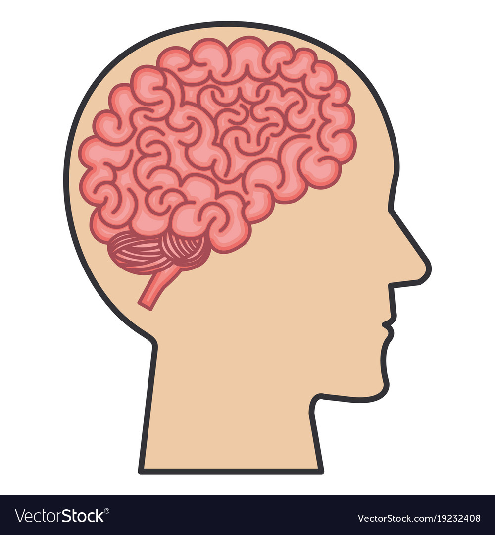 Brain storming with human profile Royalty Free Vector Image