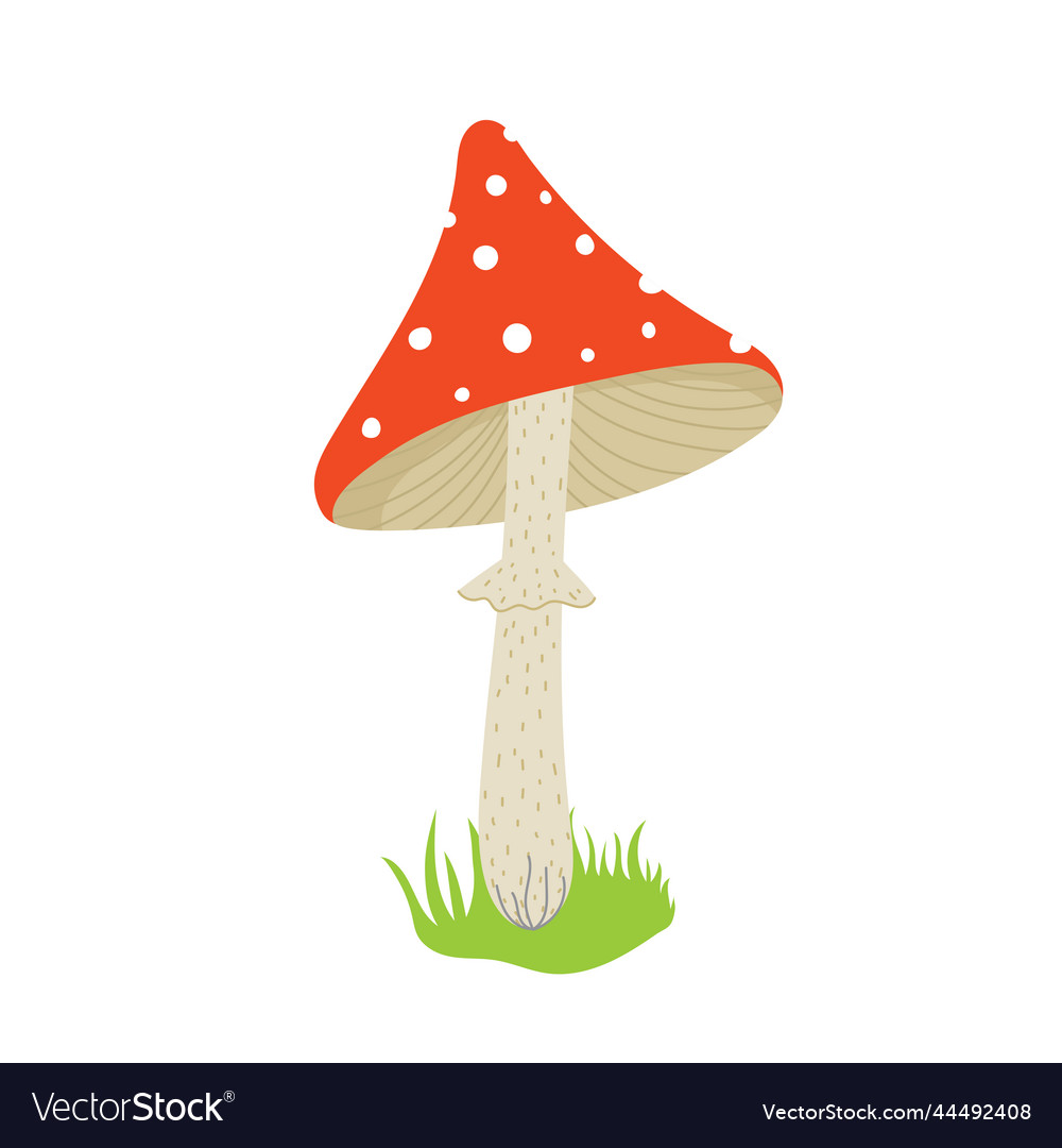 Cartoon fly agaric Royalty Free Vector Image - VectorStock