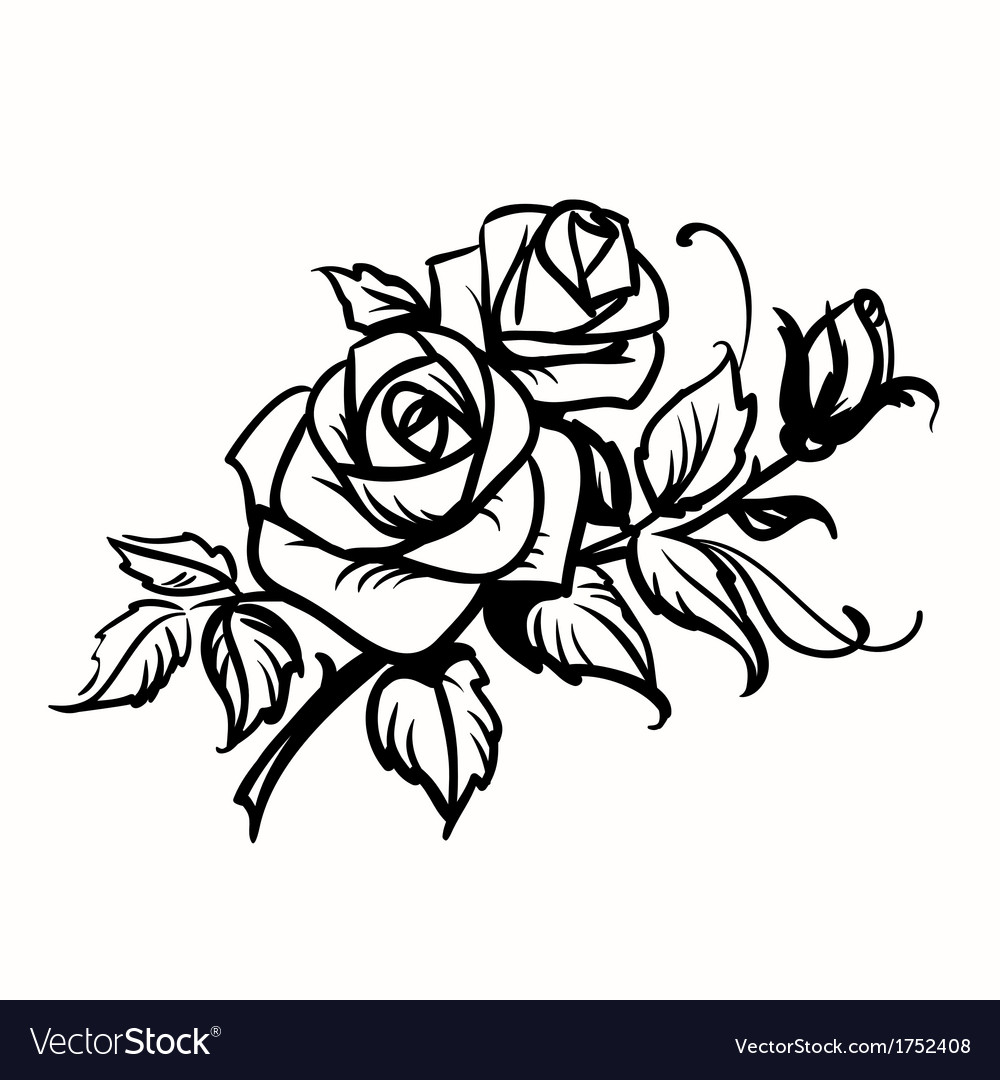 Rose Black And White Outline