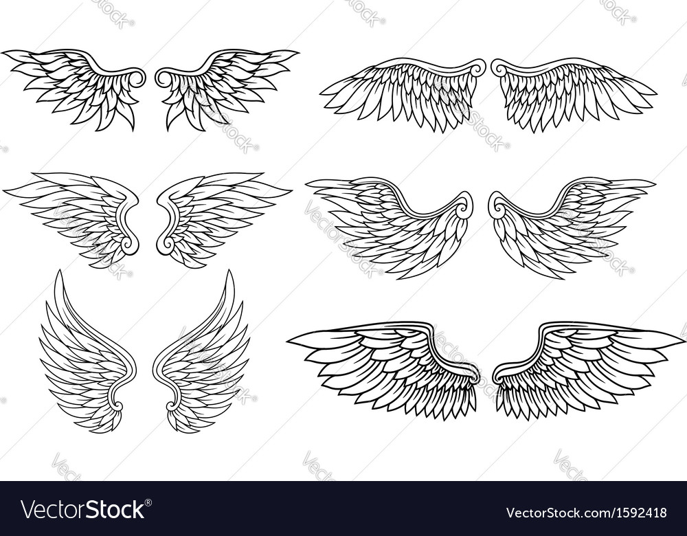 Set of eagle or angel wings Royalty Free Vector Image