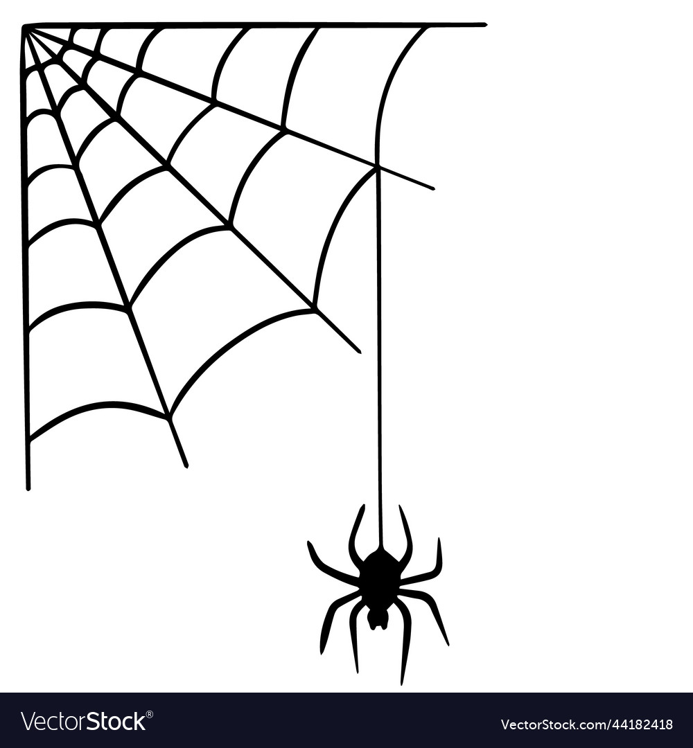 Silhouette of a spider hanging from web Royalty Free Vector