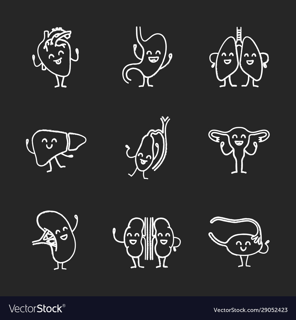 Smiling human internal organs characters chalk Vector Image