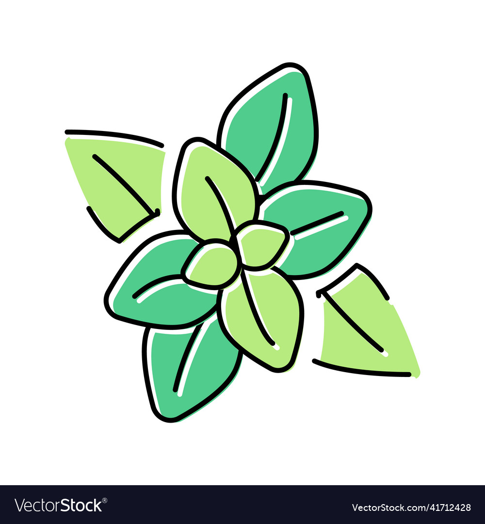 Peppermint aromatherapy color icon isolated Vector Image