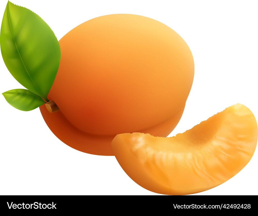 Realistic apricot fruit composition Royalty Free Vector