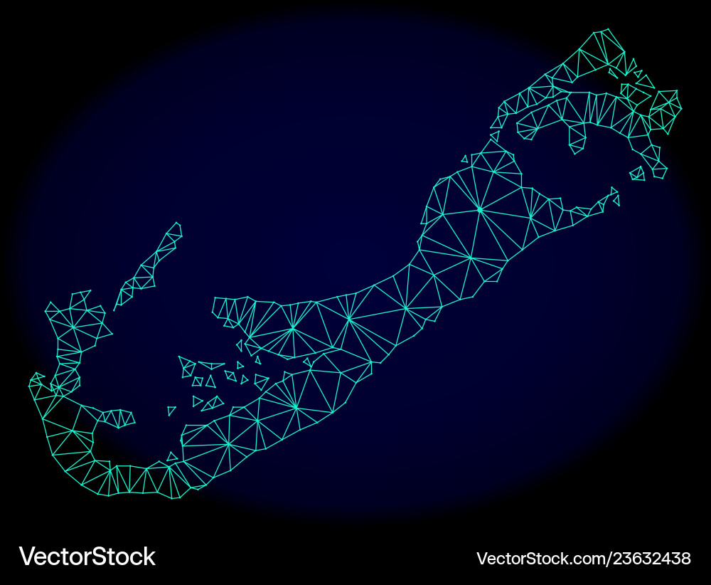 Polygonal network mesh abstract map Royalty Free Vector