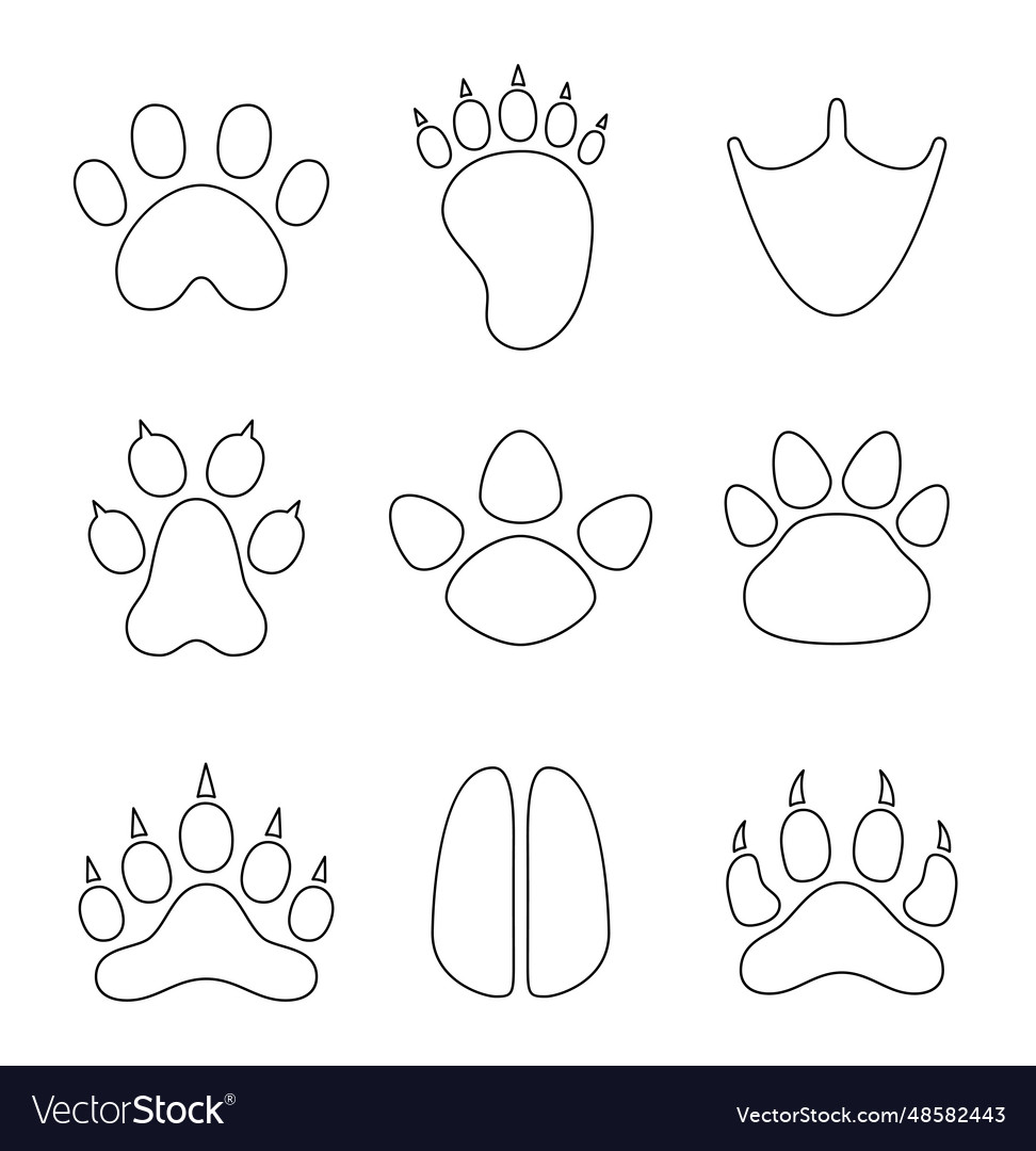 Animal Paw Print Coloring Page Different Traces Vector Image