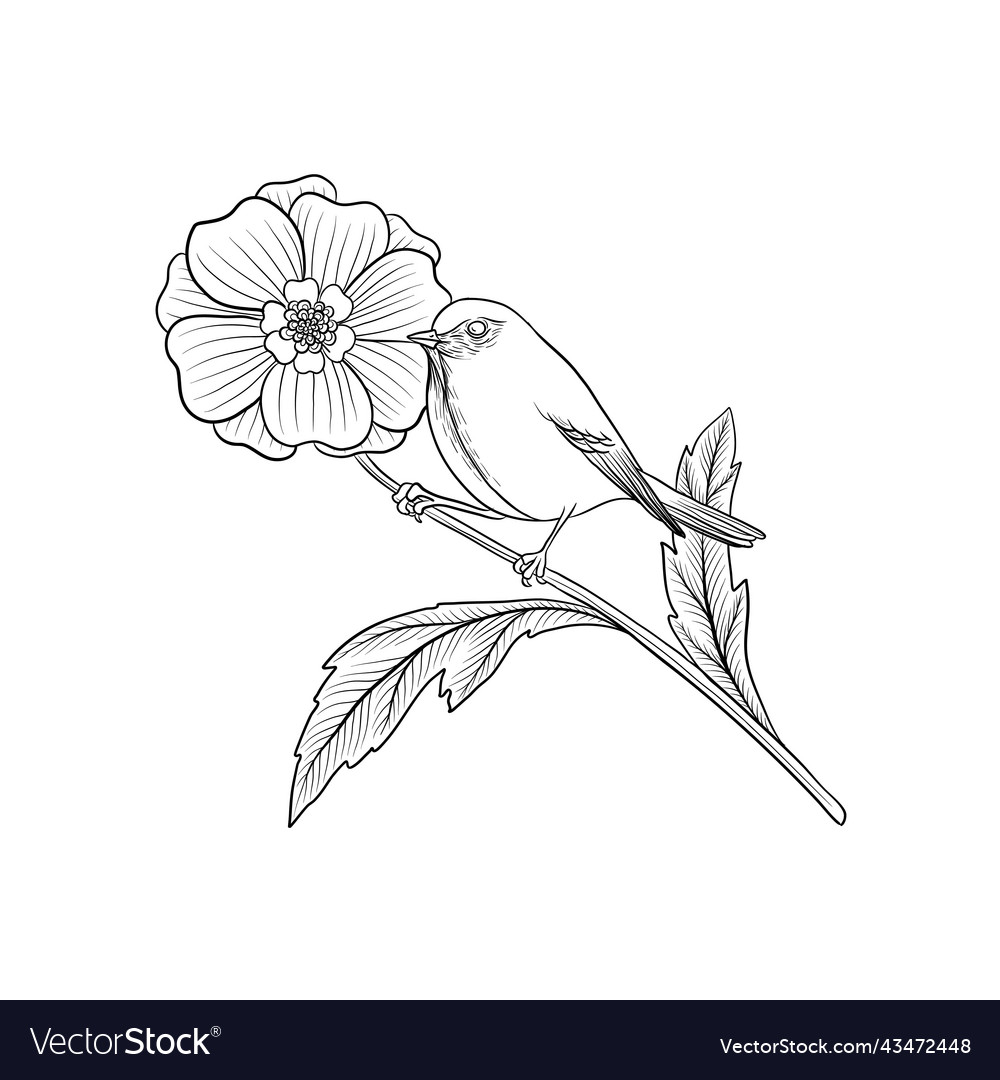 Drawing bird at tree branch with flower Royalty Free Vector