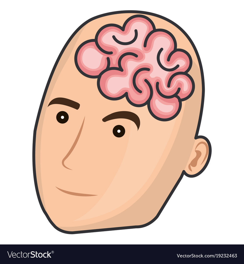 Brain storming with human profile Royalty Free Vector Image