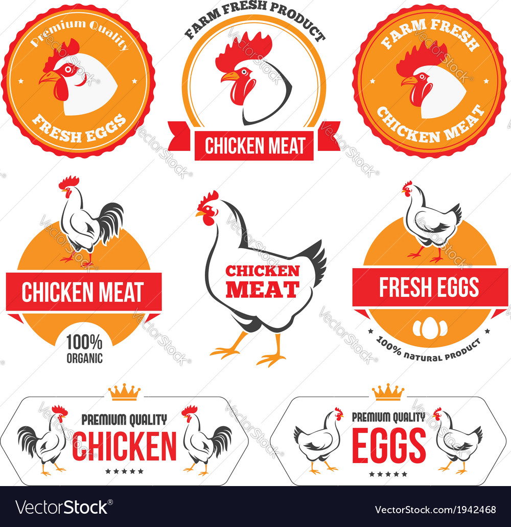 Chicken meat and eggs 2 Royalty Free Vector Image