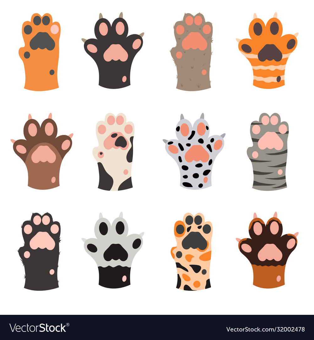 Cartoon color cat foots icons set Royalty Free Vector Image