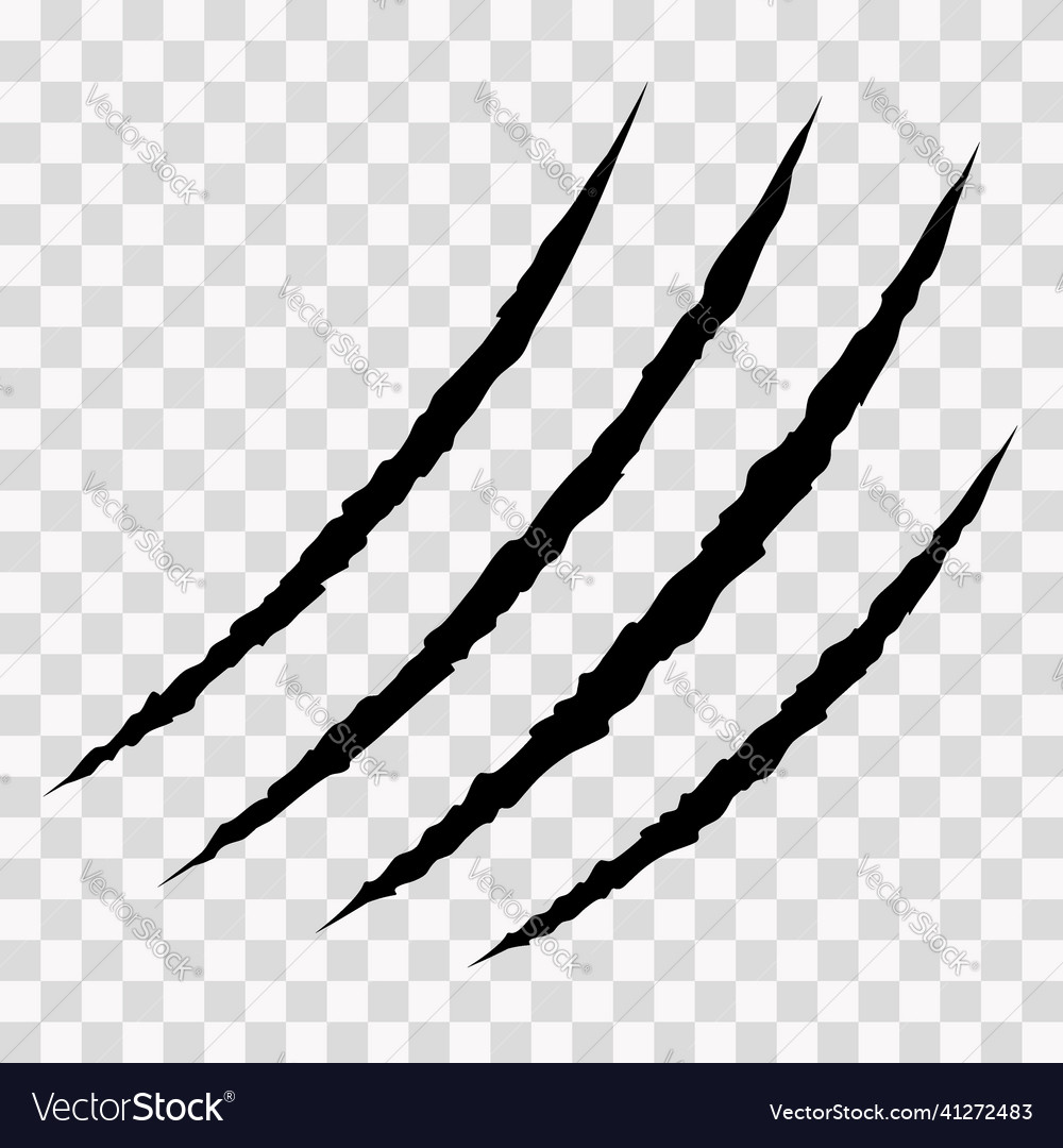 Cat scratches animal claw marks in black monster Vector Image