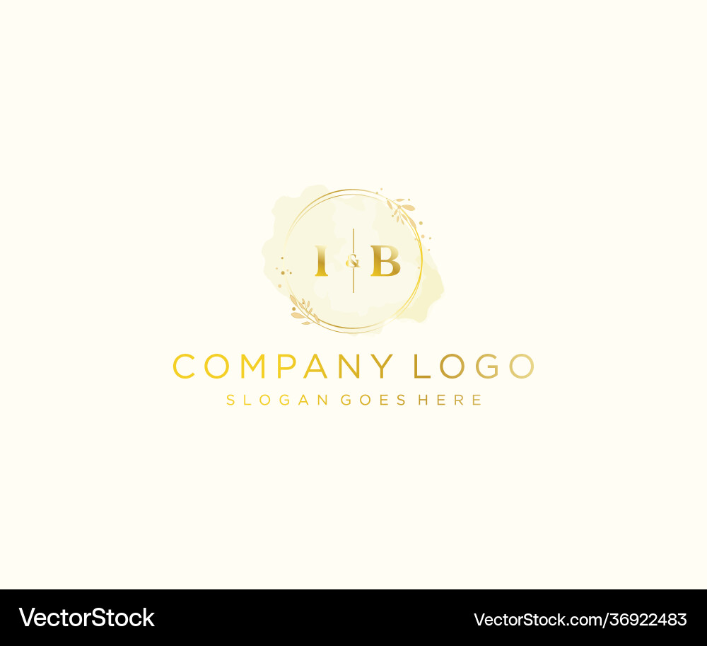 Initial ib letters colorful watercolor splash Vector Image