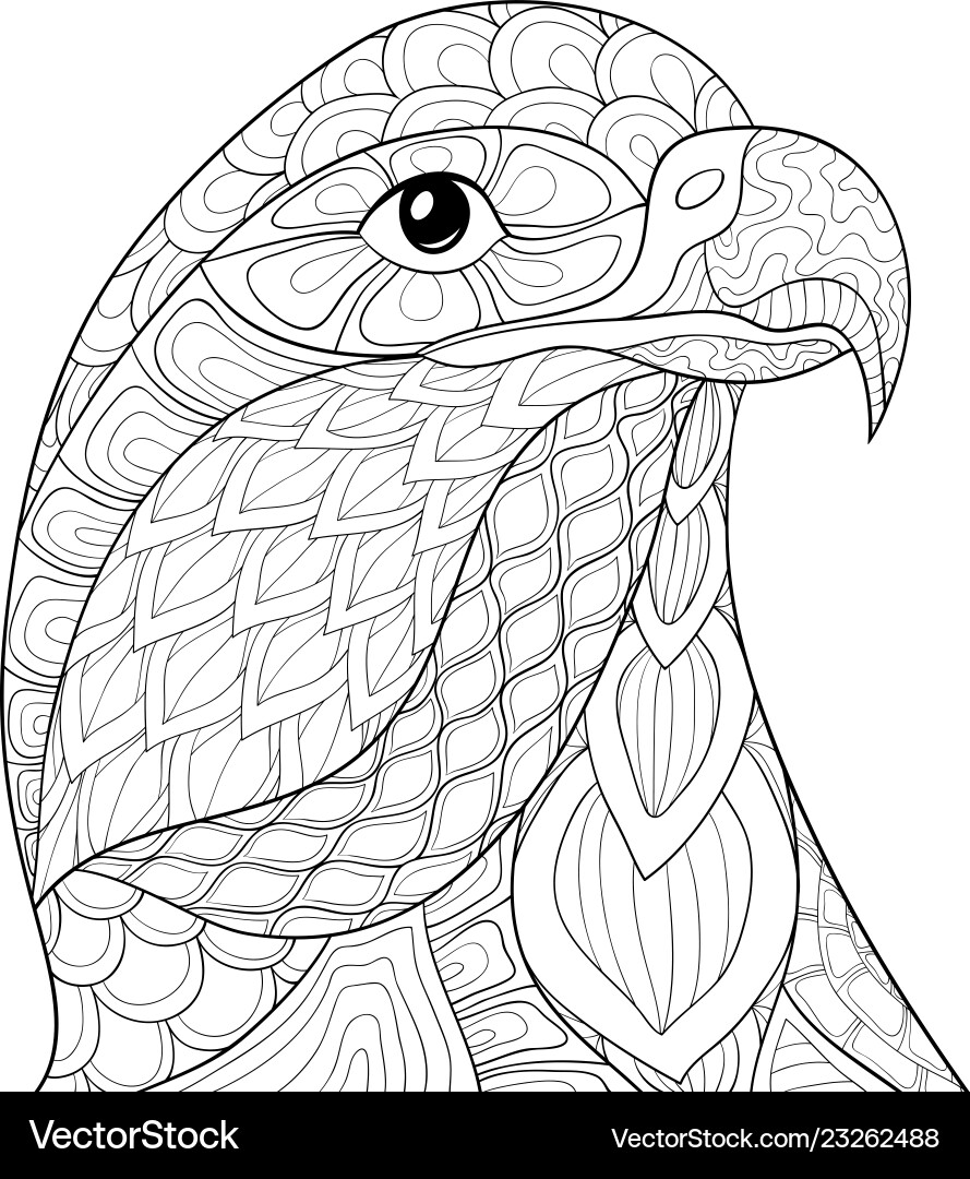 Adult coloring bookpage a head eagle image Vector Image