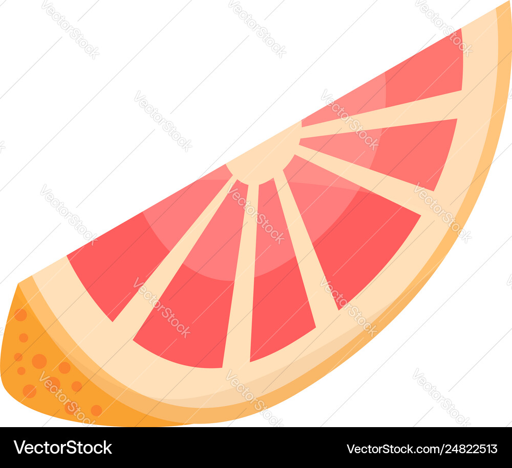 Slice grapefruit icon isometric style Royalty Free Vector
