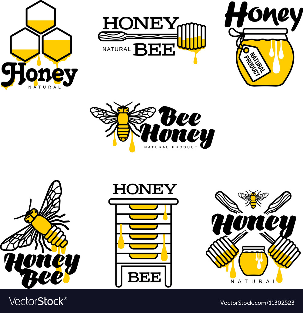 Hand-drawn bee hive honey jar and dipper logo Vector Image