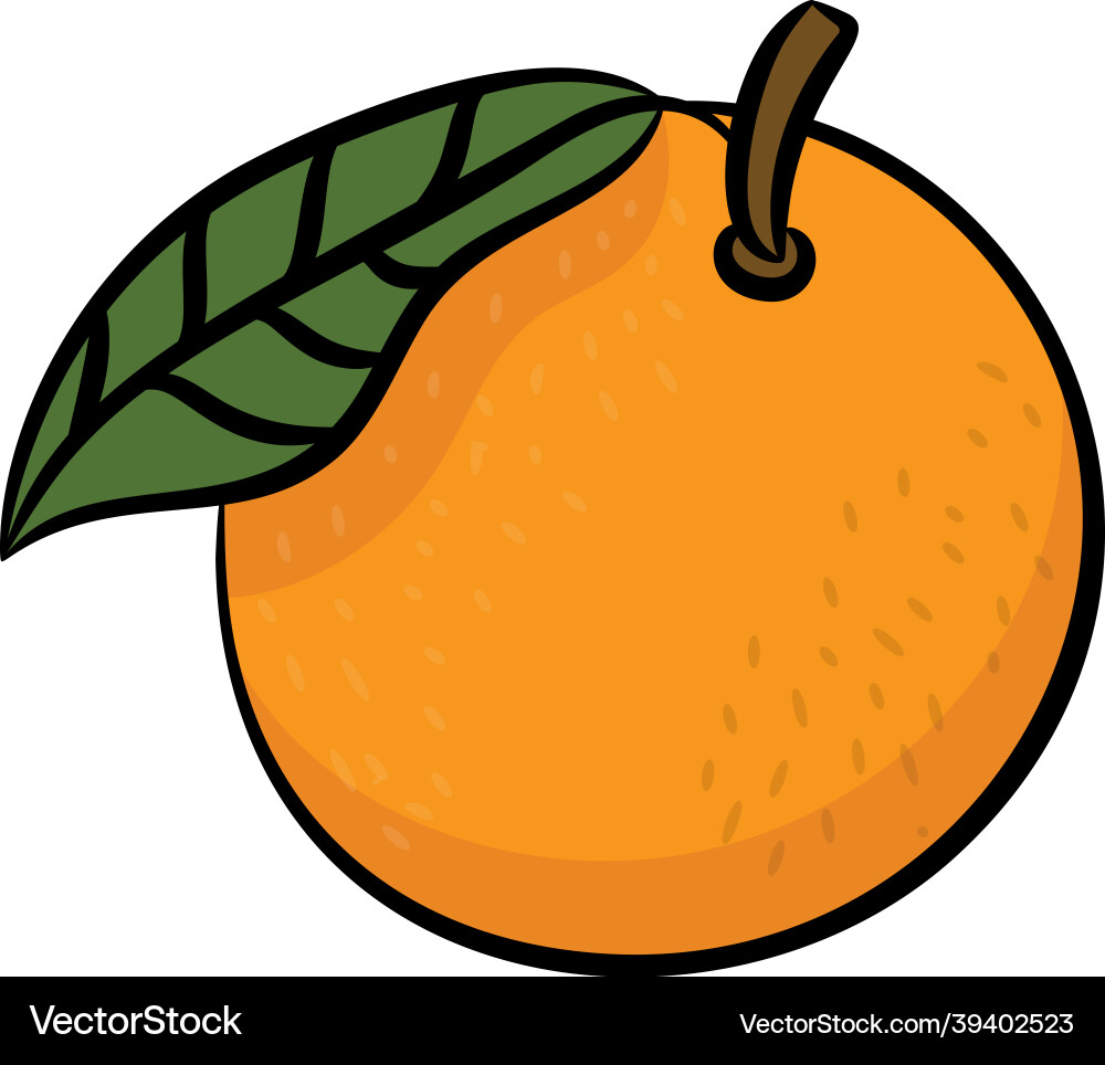 Orange Royalty Free Vector Image - VectorStock
