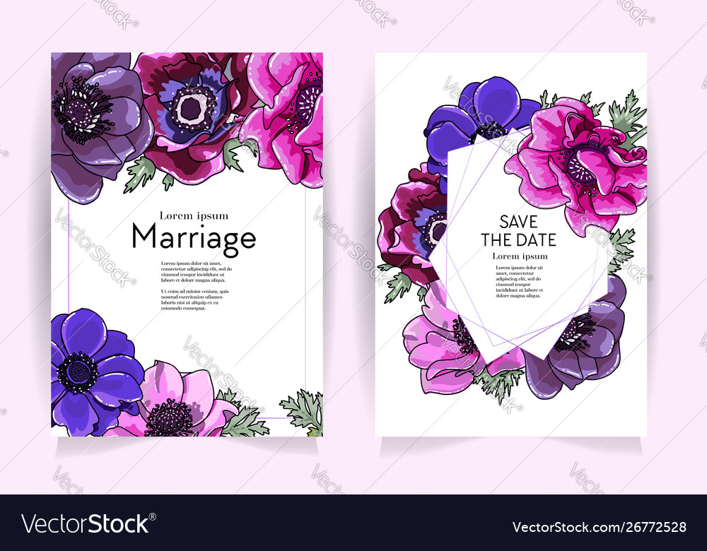 Wedding invitation frame set anemone flowers vector image Wedding invitation frame set anemone flowers