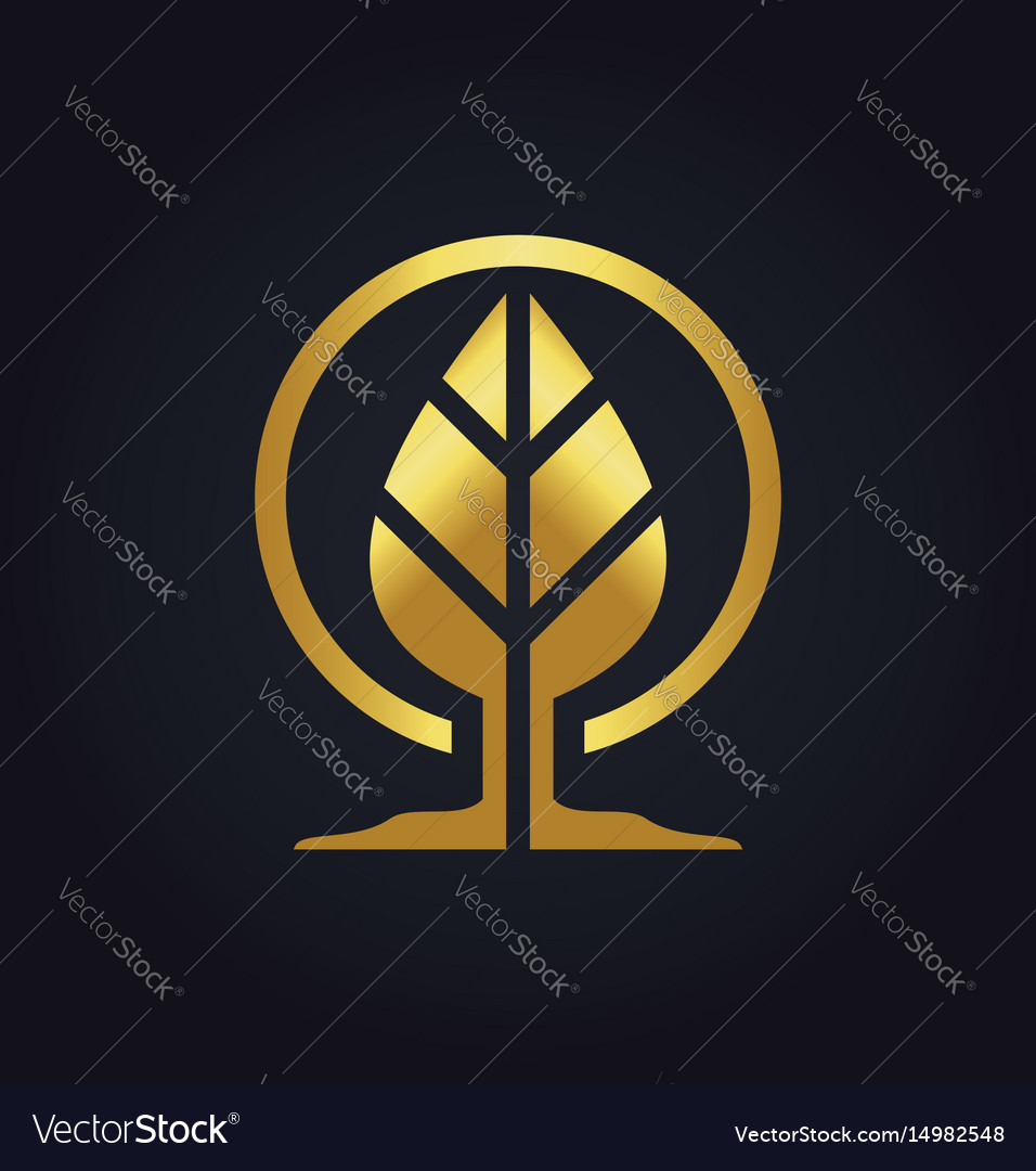 Gold leaf botany logo Royalty Free Vector Image