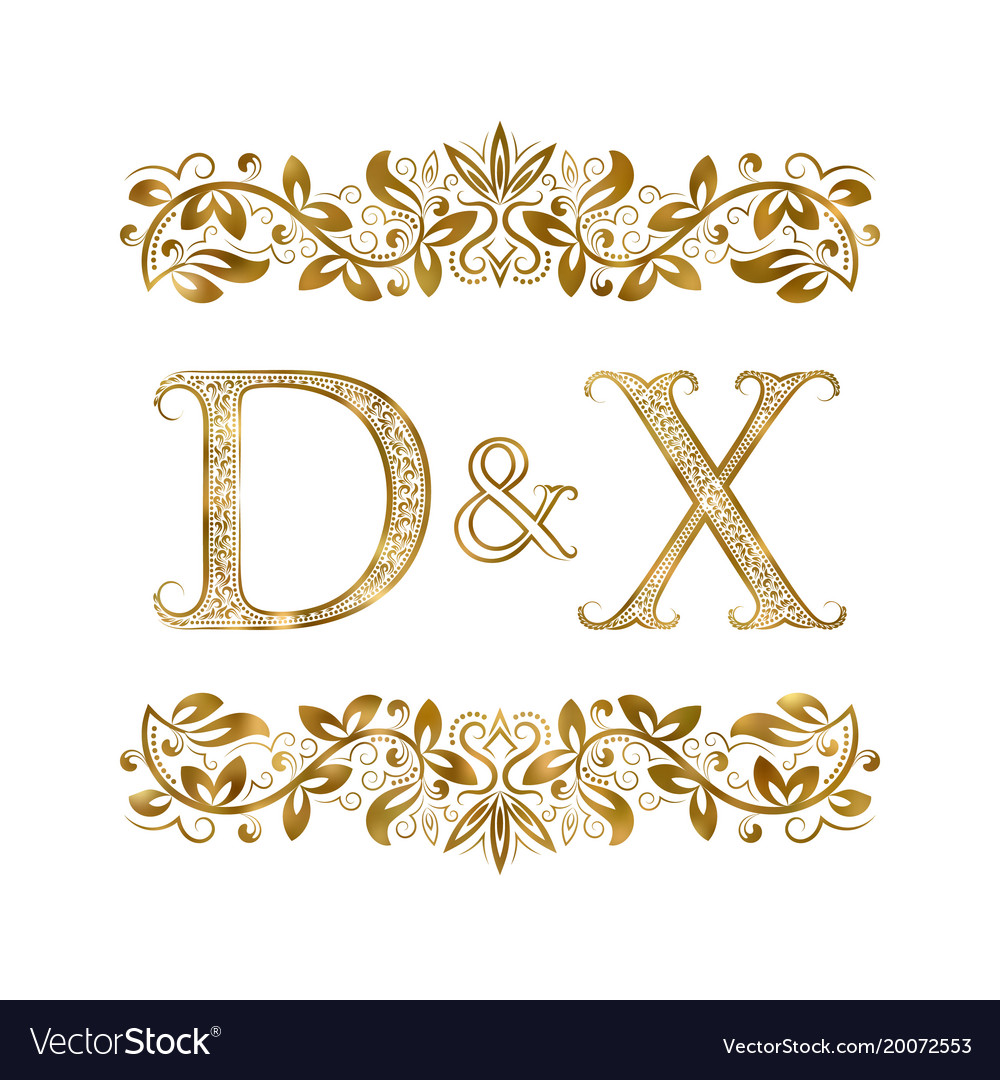 D and x vintage initials logo symbol the letters Vector Image