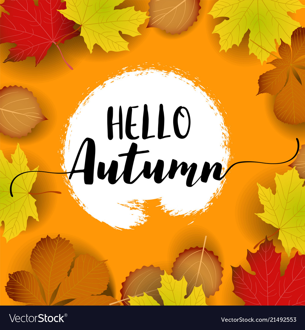 Hello autumn banner paper colorful tree leaf Vector Image