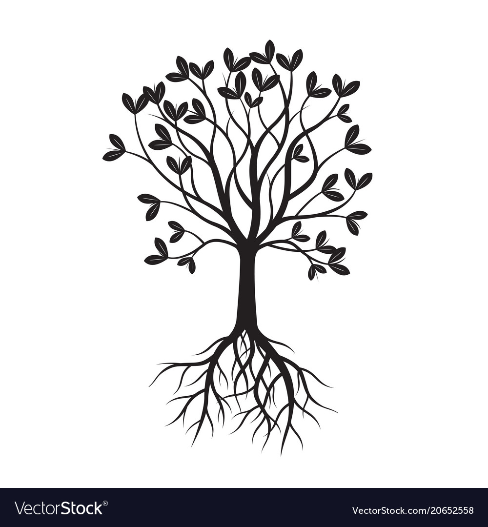 Black tree with leafs Royalty Free Vector Image