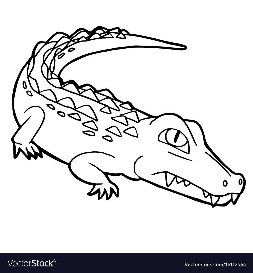 Cute Crocodile Coloring Page - 57+ SVG PNG EPS DXF in Zip File